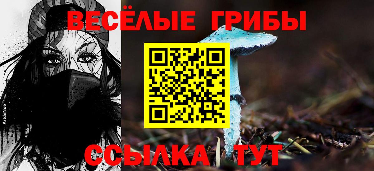 Туймазы  Галлюциногенные грибы GOLDEN TEACHER  Вход с VPN 