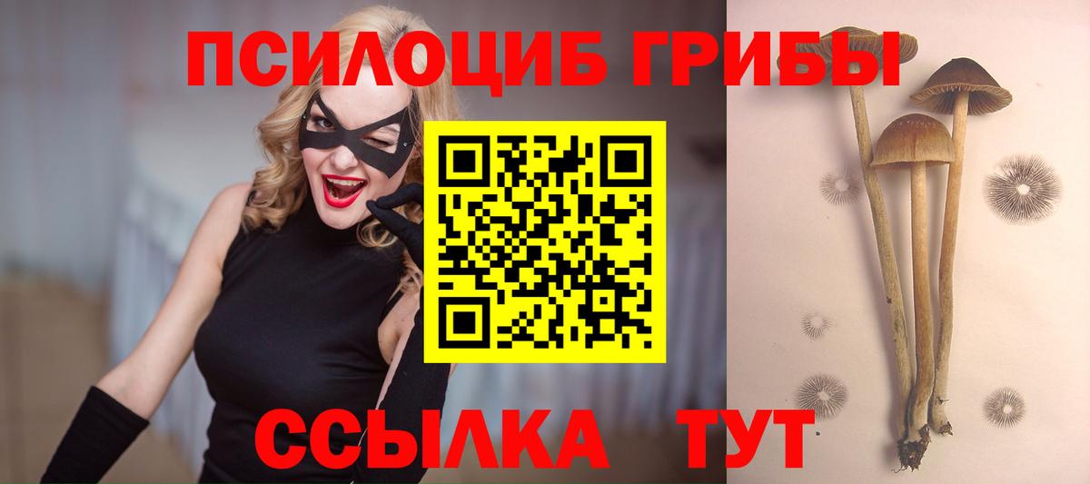 Галлюциногенные грибы MAGIC MUSHROOMS Туймазы